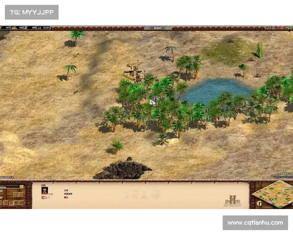 帝国时代致胜策略全解析 八大关键战术助你征服对手