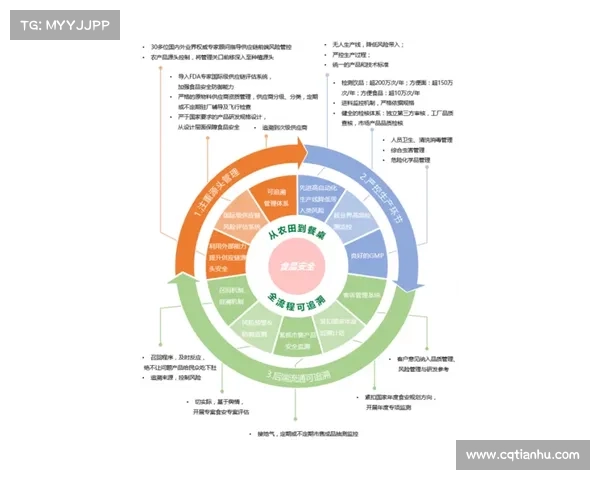 深入剖析控偶师的多维职能与责任范围全景解析