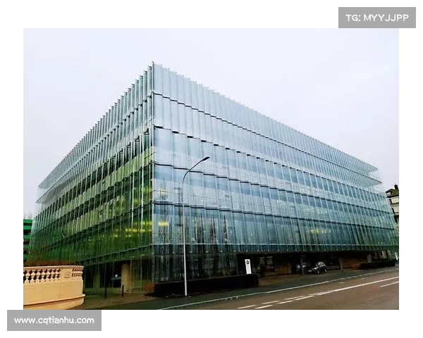 安联赞助商的作用解析：从品牌曝光到市场拓展的多维度影响